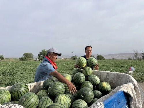 一起来吃瓜能提现吗